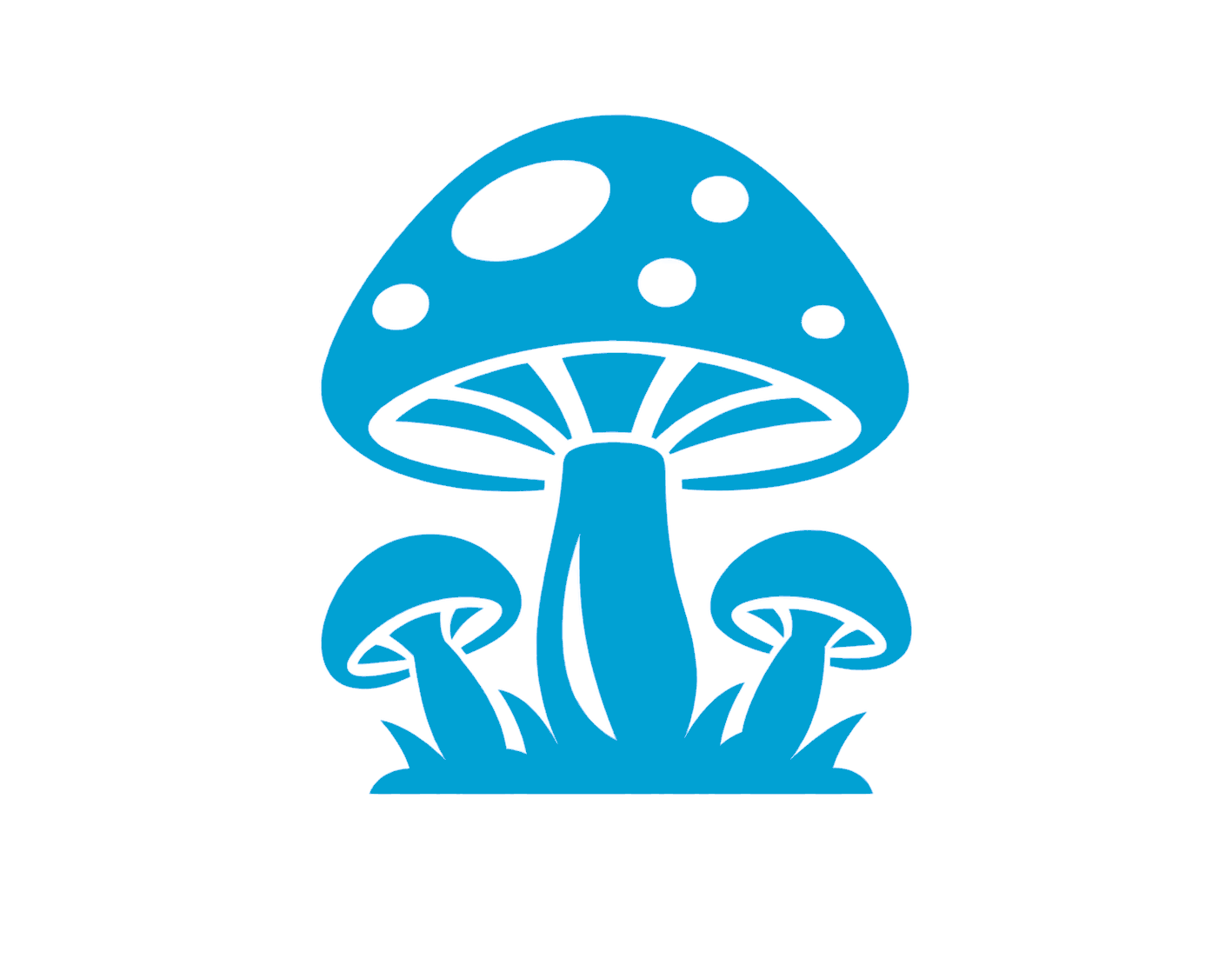 Mushroom Growing Rooms
