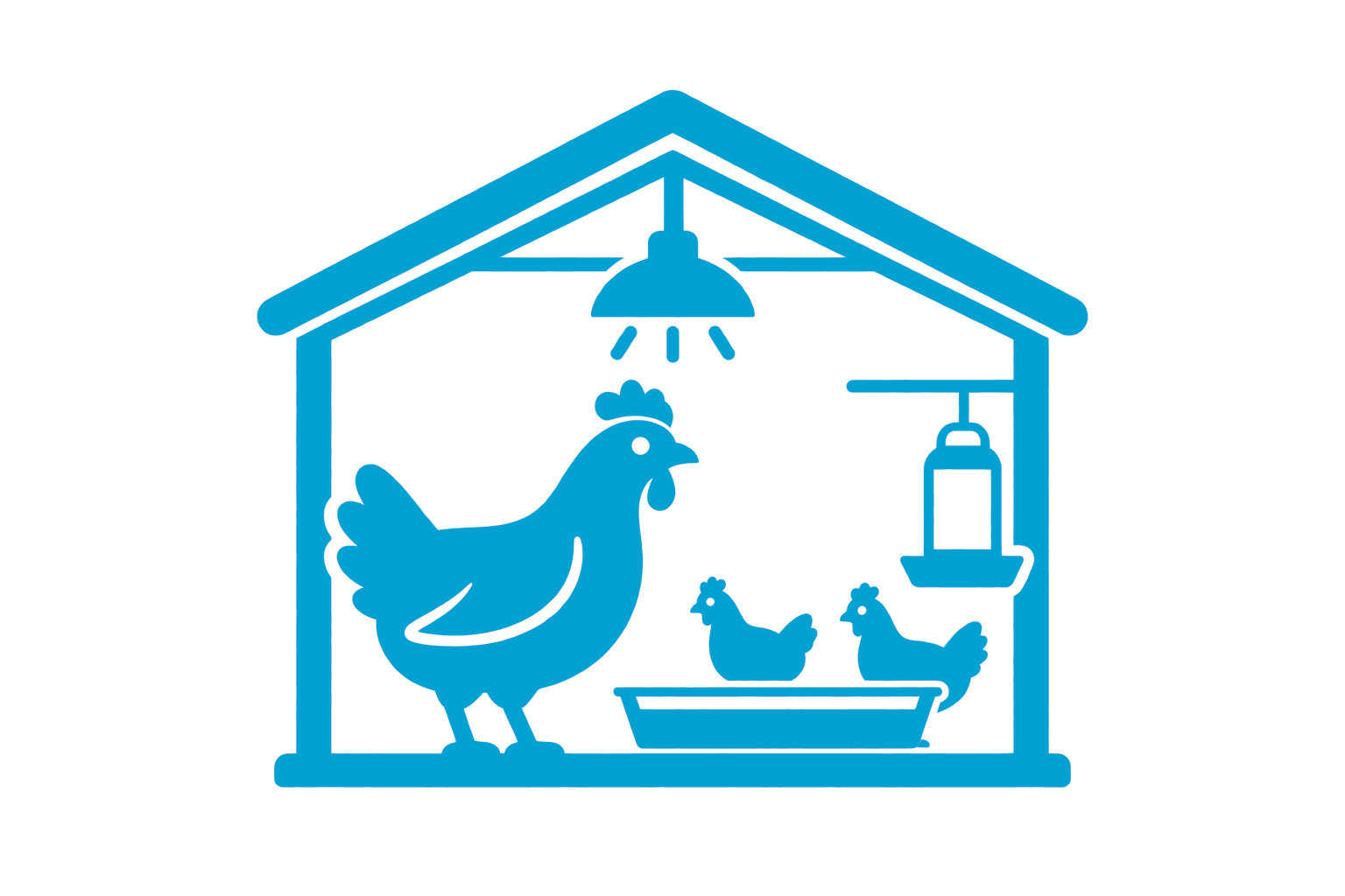 Poultry