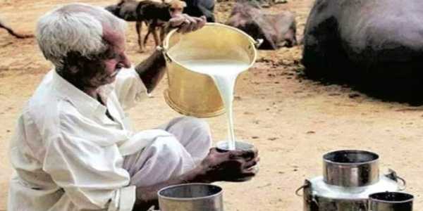 Solar cold storage and other solutions preventing milk wastage in India