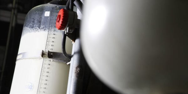 India’s solutions to cut milk waste