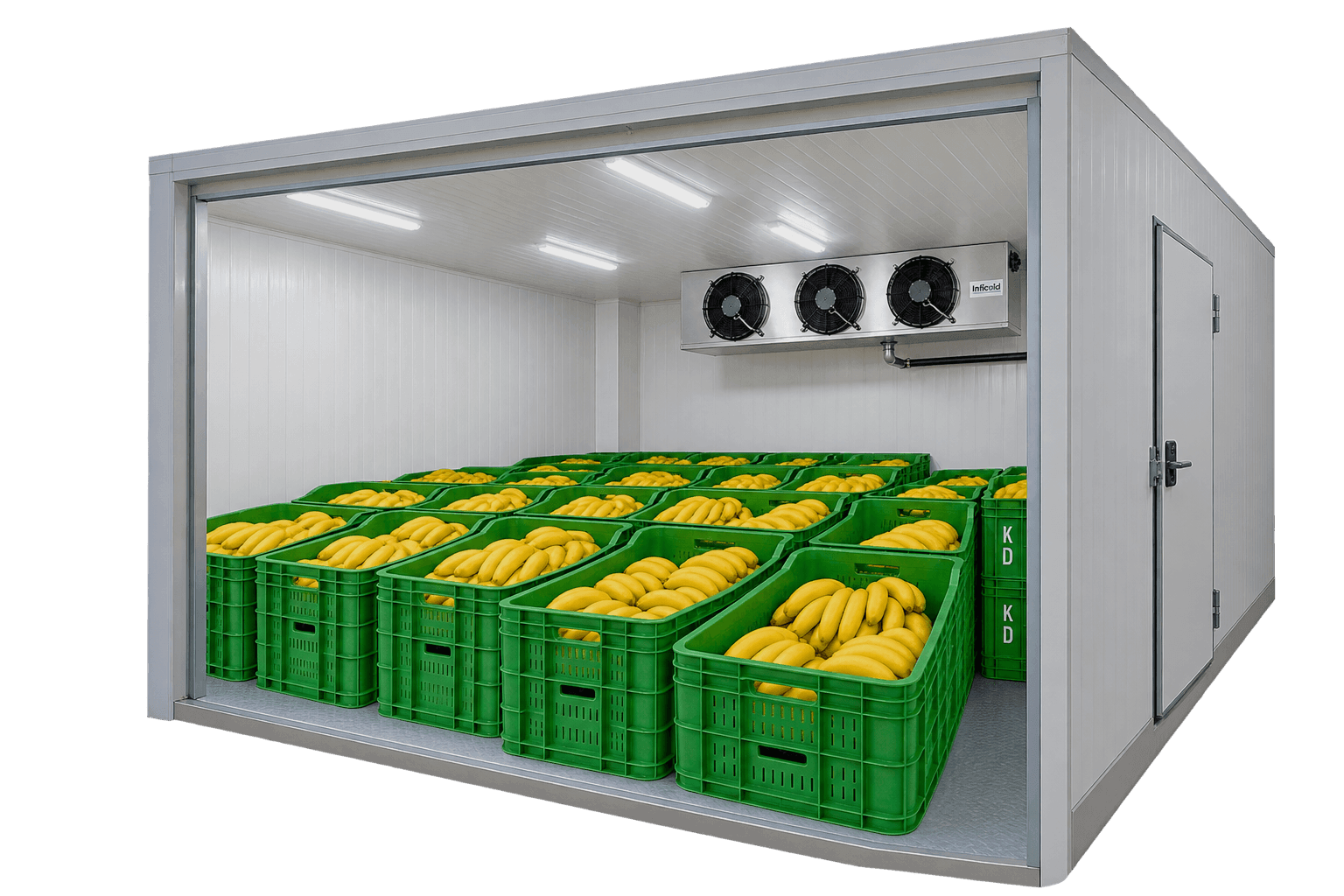 Ripening Chamber