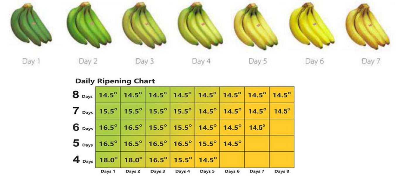 Ripening Chart